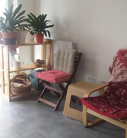 Studio Purpan Leilighet Toulouse Eksteriør bilde