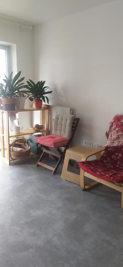 Studio Purpan Leilighet Toulouse Eksteriør bilde